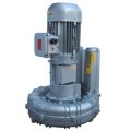 Воздуходувка FPZ-K07-TS-GVR-5-50-2-Flex-coupling-Vertical-IE2