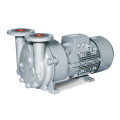 Вакуумный насос Elmo Rietschle L-BV5 2BV5 111-8KH03-8S